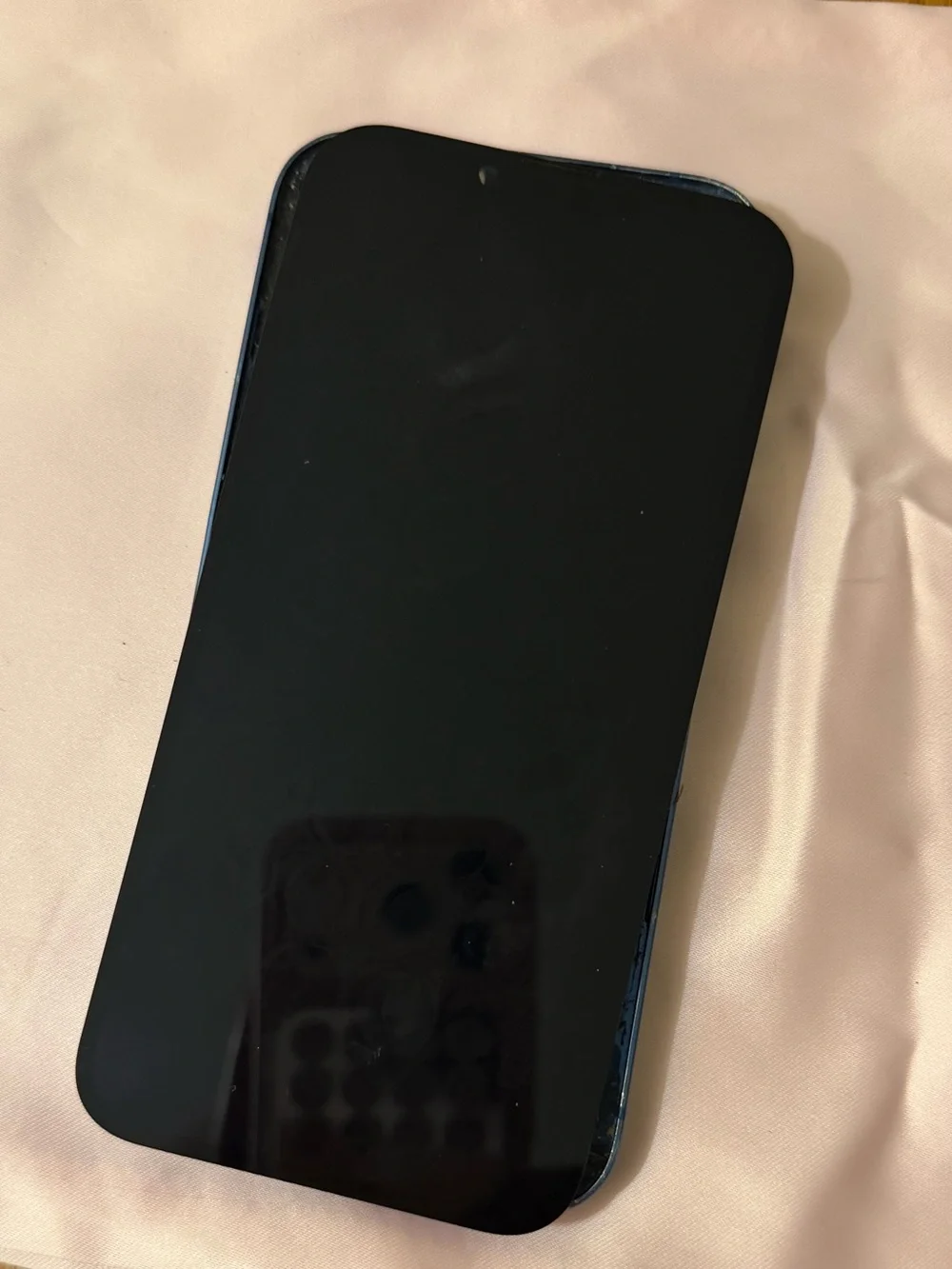 iPhone 13 read description